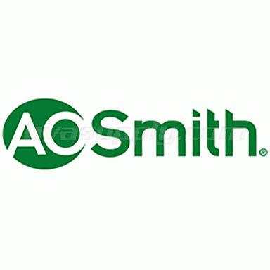 100111019 AO Smith Lower Probe