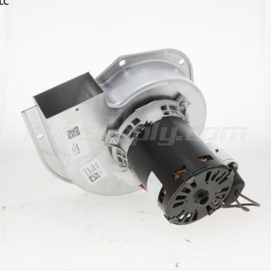 BLW00951 Trane BLW0951 BLW00951 Trane BLW0951