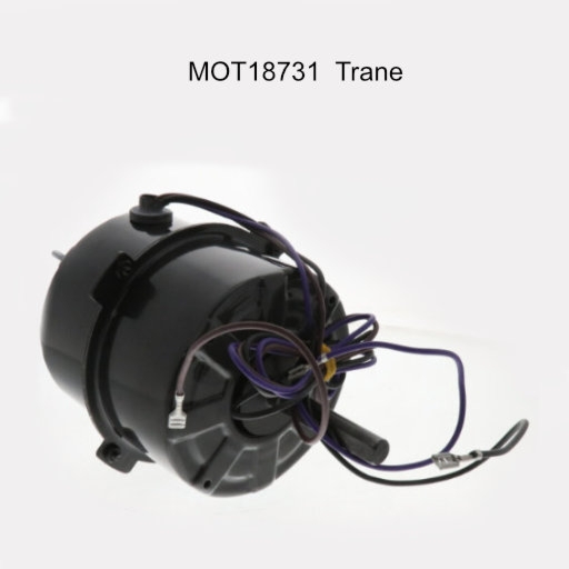 MOT18731